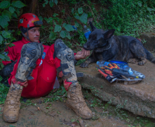 Cães de busca e resgate serão enviados pelo CBMPR para o RS.