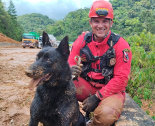 Cães de busca e resgate serão enviados pelo CBMPR para o RS.