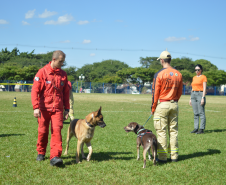1ª Certificação Nacional de Cães de Busca e Resgate, em Cianorte. Maio de 2024.