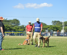1ª Certificação Nacional de Cães de Busca e Resgate, em Cianorte. Maio de 2024.
