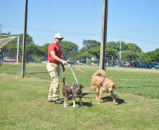 1ª Certificação Nacional de Cães de Busca e Resgate, em Cianorte. Maio de 2024.
