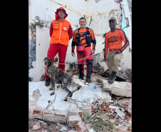 1ª Certificação Nacional de Cães de Busca e Resgate, em Cianorte. Maio de 2024.