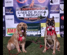 1ª Certificação Nacional de Cães de Busca e Resgate, em Cianorte. Maio de 2024.