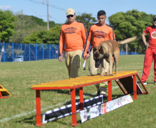 1ª Certificação Nacional de Cães de Busca e Resgate, em Cianorte. Maio de 2024.