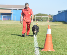 1ª Certificação Nacional de Cães de Busca e Resgate, em Cianorte. Maio de 2024.