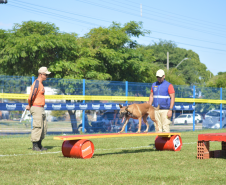 1ª Certificação Nacional de Cães de Busca e Resgate, em Cianorte. Maio de 2024.
