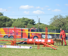 1ª Certificação Nacional de Cães de Busca e Resgate, em Cianorte. Maio de 2024.