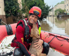 Bombeiros do Paraná em ação no Rio Grande do Sul em 2024.