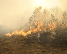 Corpo de Bombeiros Militar do Paraná em ação.