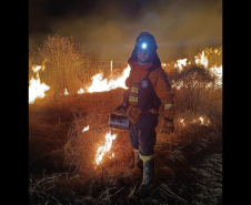 Bombeiros do Paraná trabalham no Pantanal - 2024.
