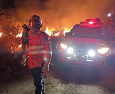 Bombeiros do Paraná trabalham no Pantanal - 2024.