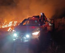 Bombeiros do Paraná trabalham no Pantanal - 2024.