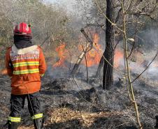 Bombeiros do Paraná trabalham no Pantanal - 2024.