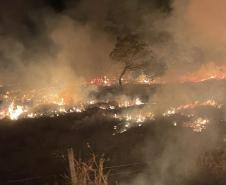 Bombeiros do Paraná trabalham no Pantanal - 2024.