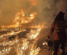 Bombeiros do Paraná trabalham no Pantanal - 2024.