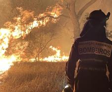 Bombeiros do Paraná trabalham no Pantanal - 2024.