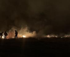 Bombeiros do Paraná trabalham no Pantanal - 2024.