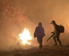 Bombeiros do Paraná trabalham no Pantanal - 2024.