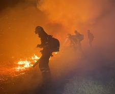 Bombeiros do Paraná trabalham no Pantanal - 2024.
