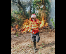 Bombeiros do Paraná em ação durante os incêndios florestais em agosto de 2024.
