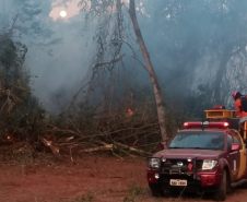 Bombeiros do Paraná em ação durante os incêndios florestais em agosto de 2024.