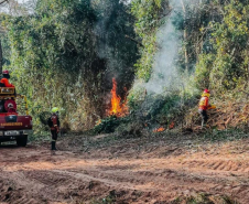 Bombeiros do Paraná em ação durante os incêndios florestais em agosto de 2024.