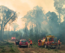 Bombeiros do Paraná em ação durante os incêndios florestais em agosto de 2024.