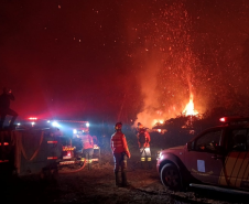 Bombeiros do Paraná em ação durante os incêndios florestais em agosto de 2024.