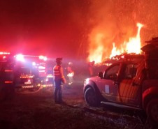 Bombeiros do Paraná em ação durante os incêndios florestais em agosto de 2024.