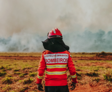 Bombeiros do Paraná em ação durante os incêndios florestais em agosto de 2024.