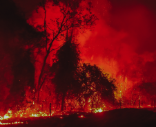 Bombeiros do Paraná em ação durante os incêndios florestais em agosto de 2024.