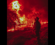 Bombeiros do Paraná em ação durante os incêndios florestais em agosto de 2024.