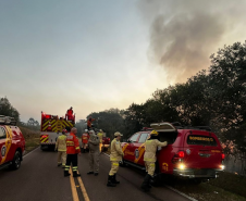 Bombeiros do Paraná em ação durante os incêndios florestais em agosto de 2024.