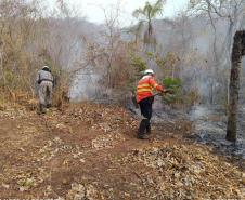 Bombeiros do Paraná trabalham no Pantanal - 2024.