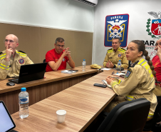 Reunião virtual sobre prevenção e combate a incêndios florestais (24/09/2024).
