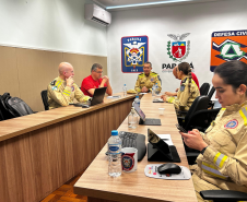 Reunião virtual sobre prevenção e combate a incêndios florestais (24/09/2024).