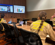 Reunião virtual sobre prevenção e combate a incêndios florestais (24/09/2024).