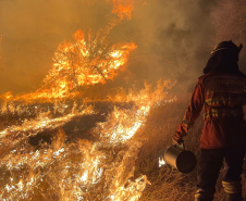 Força-Tarefa do Corpo de Bombeiros Militar do Paraná.