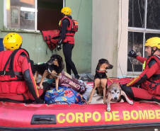 Força-Tarefa do Corpo de Bombeiros Militar do Paraná.