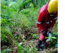 Dois jovens que haviam se perdido em uma trilha em Campina Grande do Sul foram encontrados pelo CBMPR.