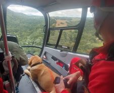 Bombeiros dão dicas para fazer trilhas em segurança.