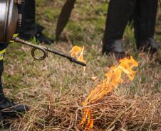 Workshop de Combate a Incêndios Florestais - 4ª NAR