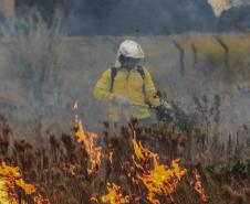 Workshop de Combate a Incêndios Florestais - 4ª NAR