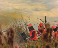 Workshop de Combate a Incêndios Florestais - 4ª NAR