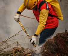 Workshop de Combate a Incêndios Florestais - 4ª NAR