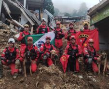 Como são selecionados os cães do GOST 9