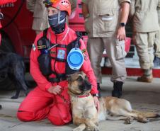 Como são selecionados os cães do GOST 6
