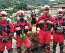 Como são selecionados os cães do GOST 3