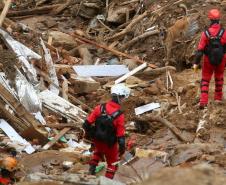 Como são selecionados os cães do GOST 7