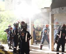 Treinamento reforça papel estratégico dos cães dos Bombeiros em resgates